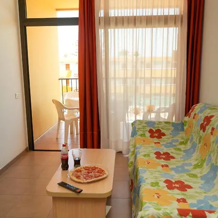 Cactus Canary Rent San Bartolome de Tirajana (Gran Canaria)