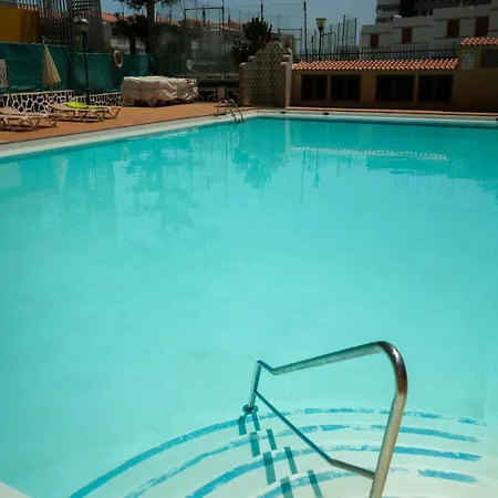 Cactus Canary Rent Apartment