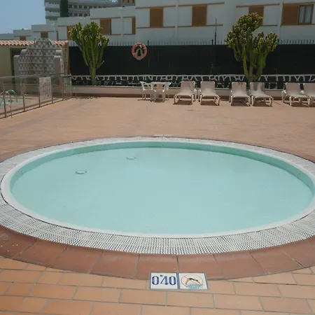 Apartment Cactus Canary Rent *