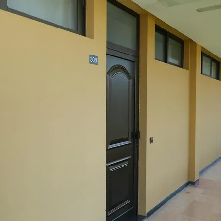 Cactus Canary Rent San Bartolome de Tirajana (Gran Canaria)