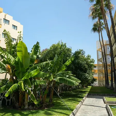 Cactus Canary Rent * San Bartolome de Tirajana (Gran Canaria)