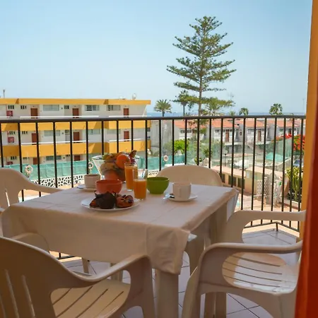 Cactus Canary Rent Apartment